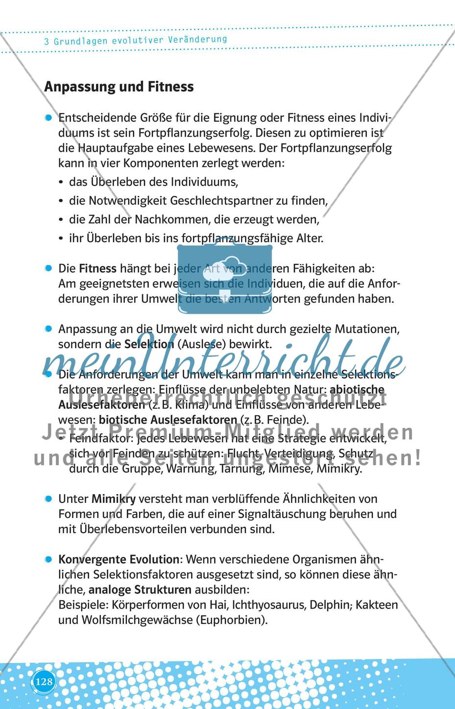 Grundlagen evolutiver Veränderung Preview 5
