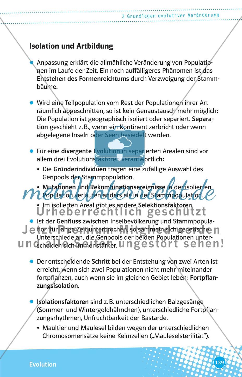 Grundlagen evolutiver Veränderung Preview 6