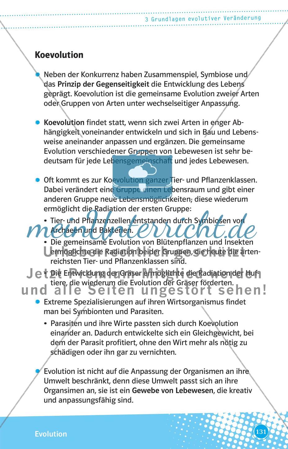 Grundlagen evolutiver Veränderung Preview 8