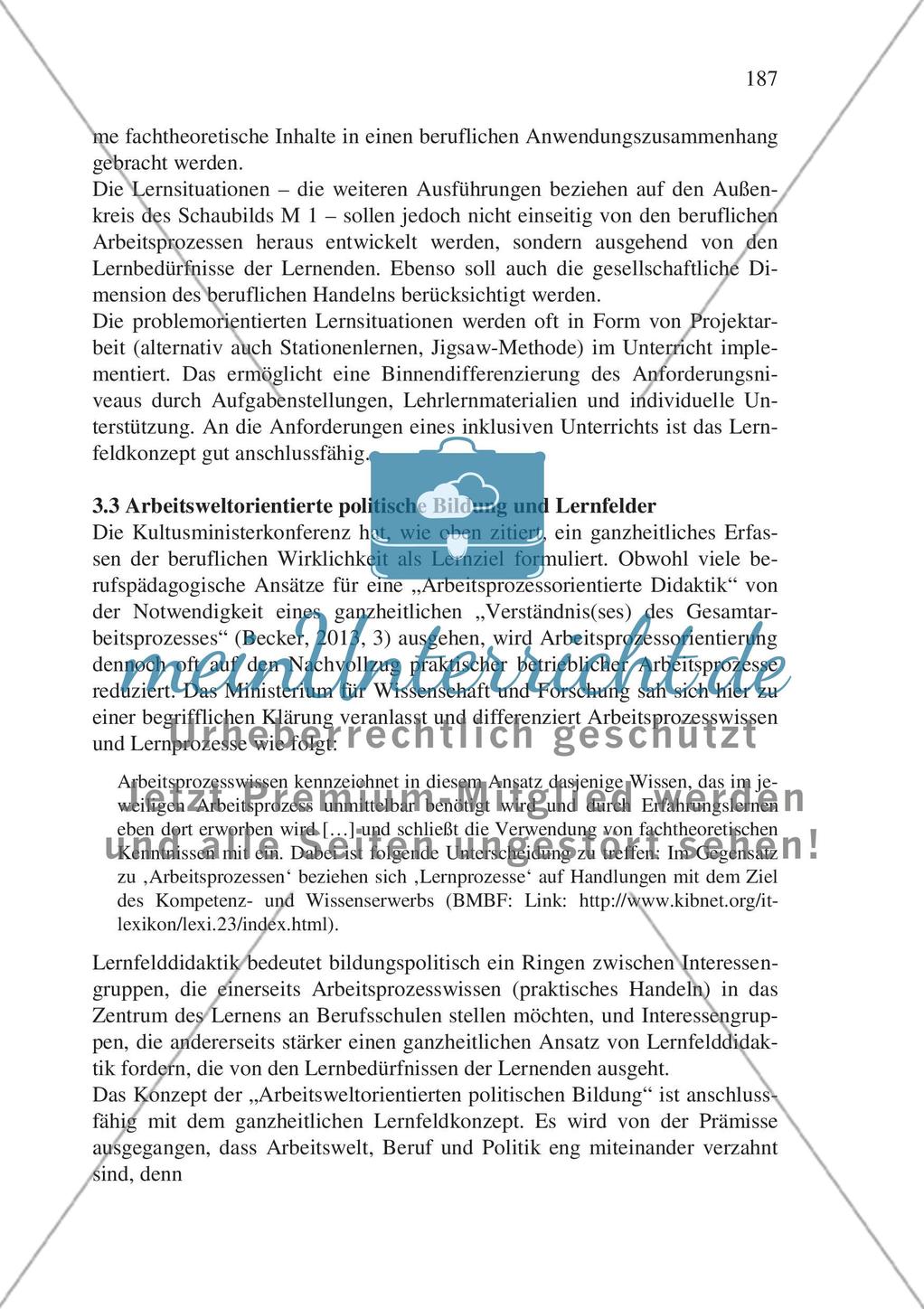 Inklusiver Fachunterricht in der beruflichen Bildung – am Beispiel des gesellschaftswissenschaftlichen Unterrichts Preview 10