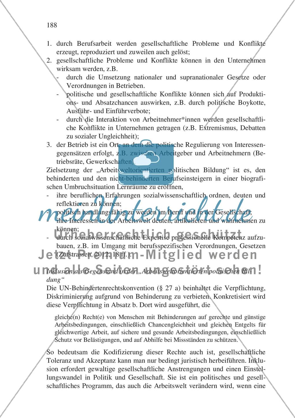 Inklusiver Fachunterricht in der beruflichen Bildung – am Beispiel des gesellschaftswissenschaftlichen Unterrichts Preview 11