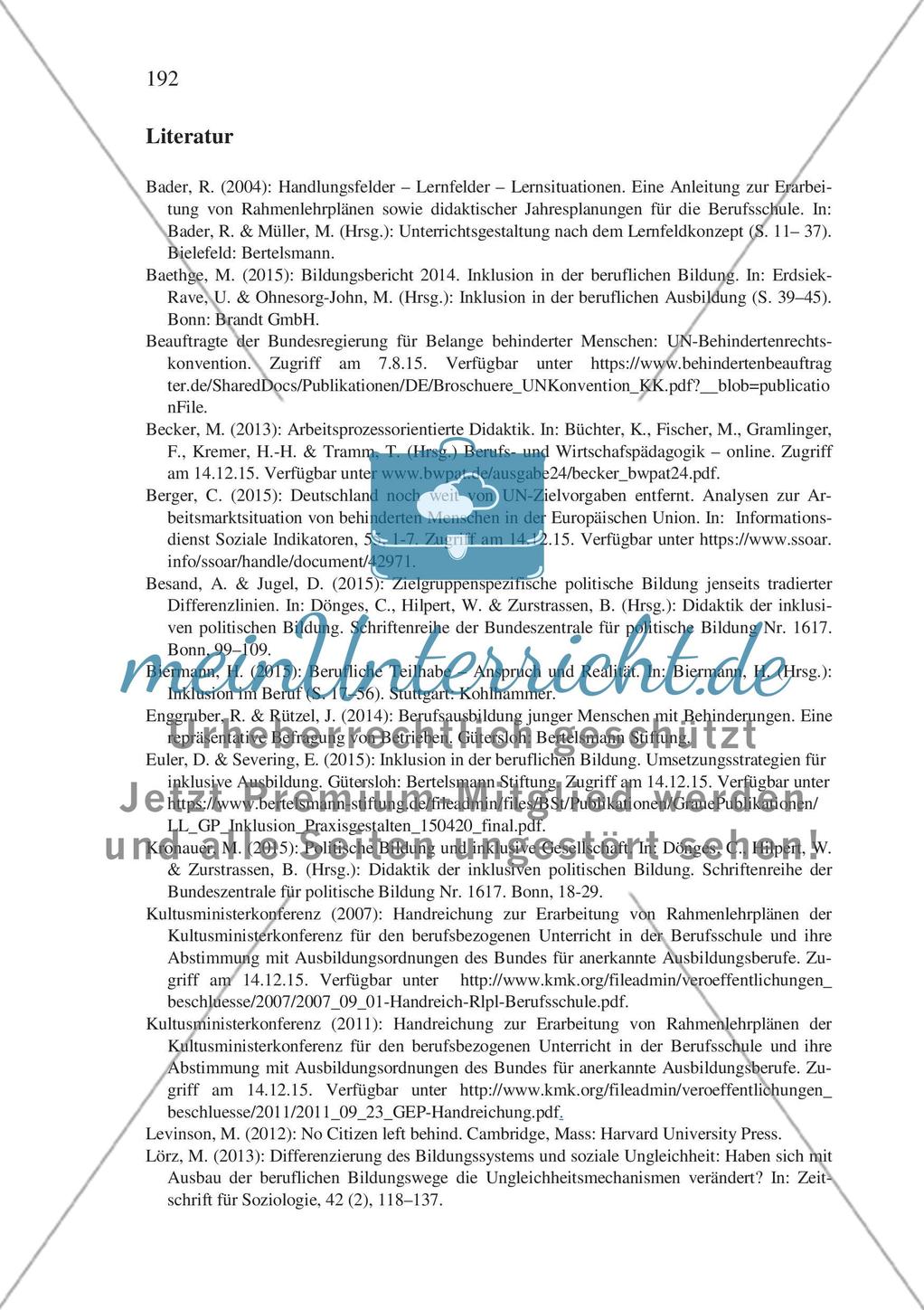Inklusiver Fachunterricht in der beruflichen Bildung – am Beispiel des gesellschaftswissenschaftlichen Unterrichts Preview 15