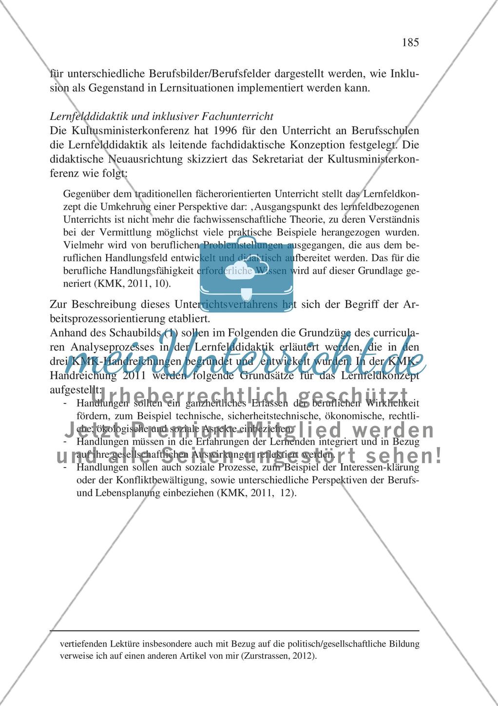 Inklusiver Fachunterricht in der beruflichen Bildung – am Beispiel des gesellschaftswissenschaftlichen Unterrichts Preview 8