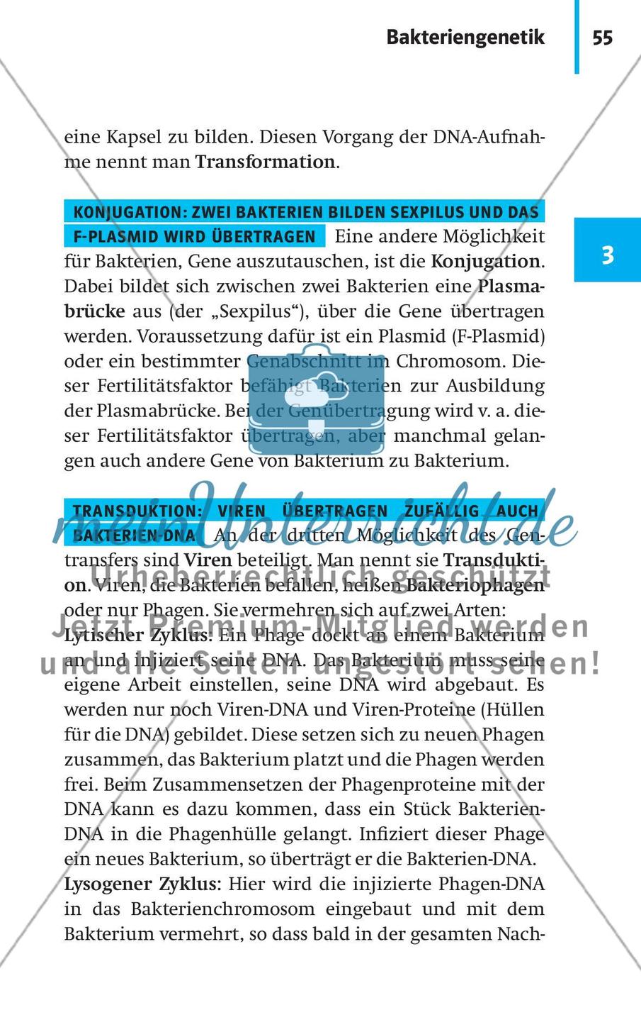 Molekulargenetik Preview 5