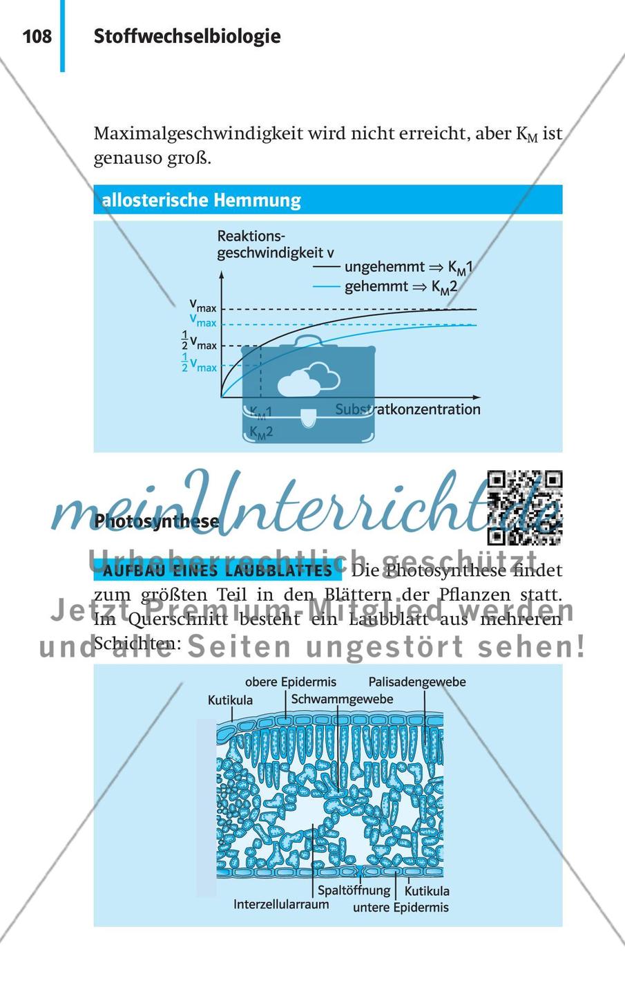 Stoffwechselbiologie Preview 11