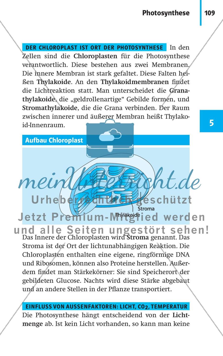 Stoffwechselbiologie Preview 12