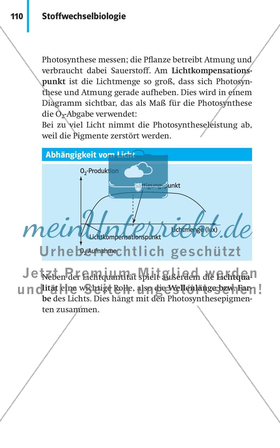 Stoffwechselbiologie Preview 13