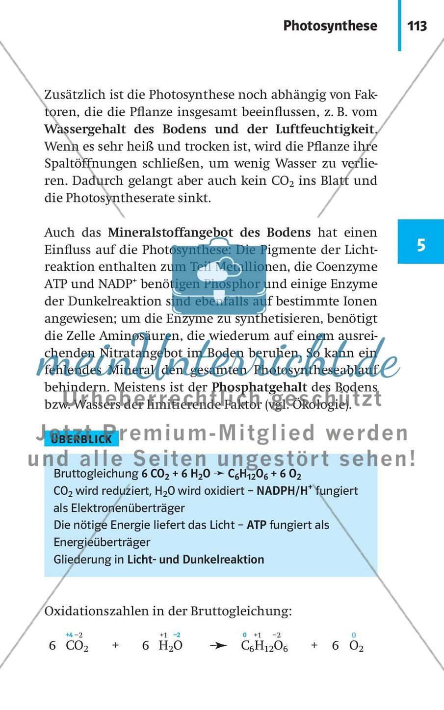 Stoffwechselbiologie Preview 16