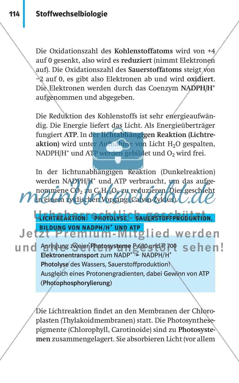 Stoffwechselbiologie Preview 17
