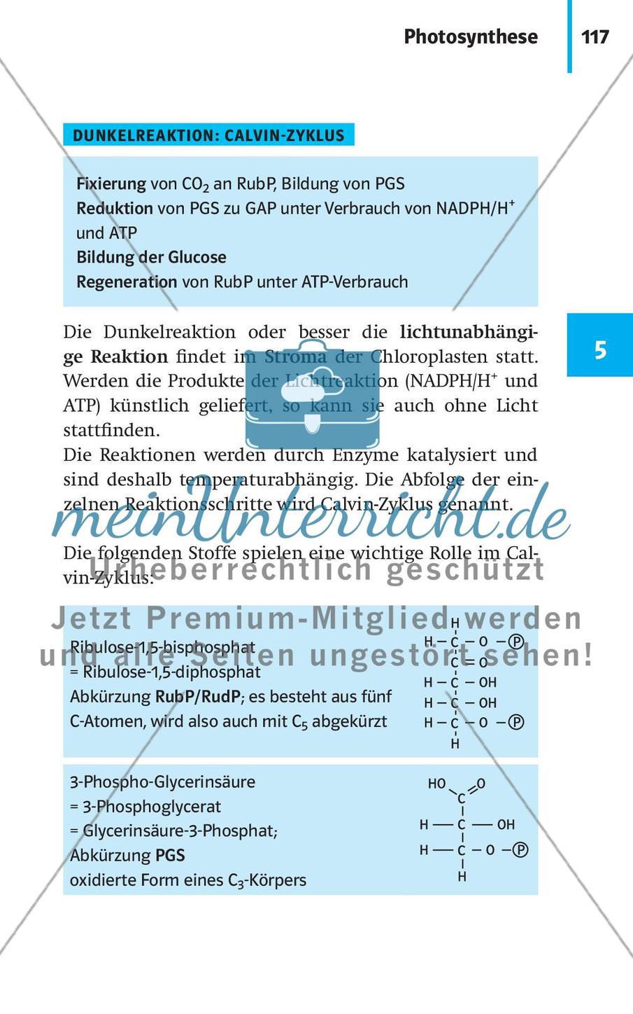 Stoffwechselbiologie Preview 20