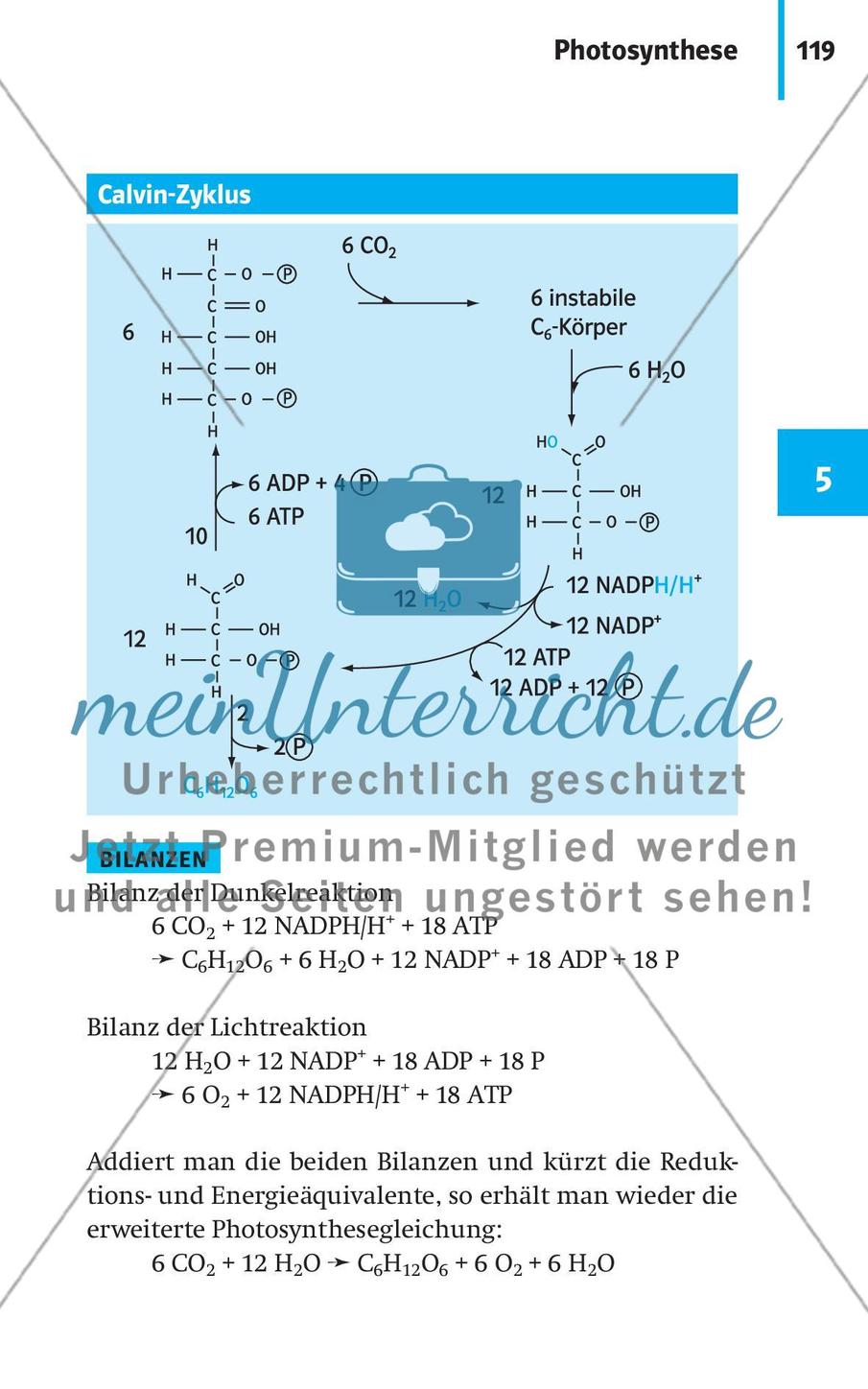 Stoffwechselbiologie Preview 22