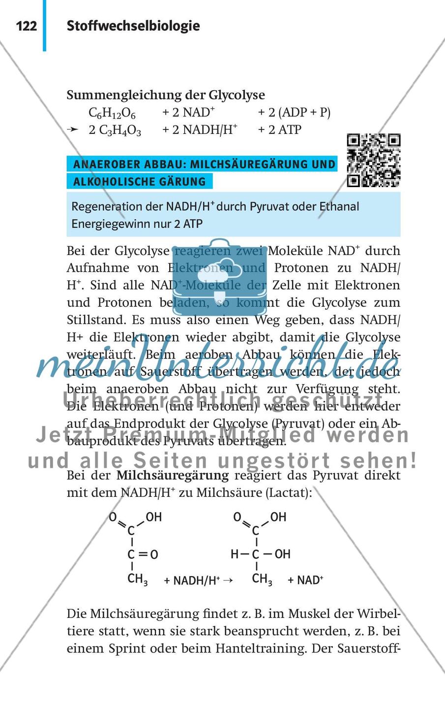 Stoffwechselbiologie Preview 25