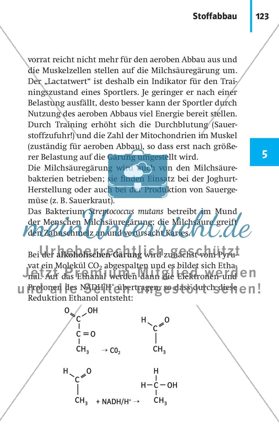Stoffwechselbiologie Preview 26