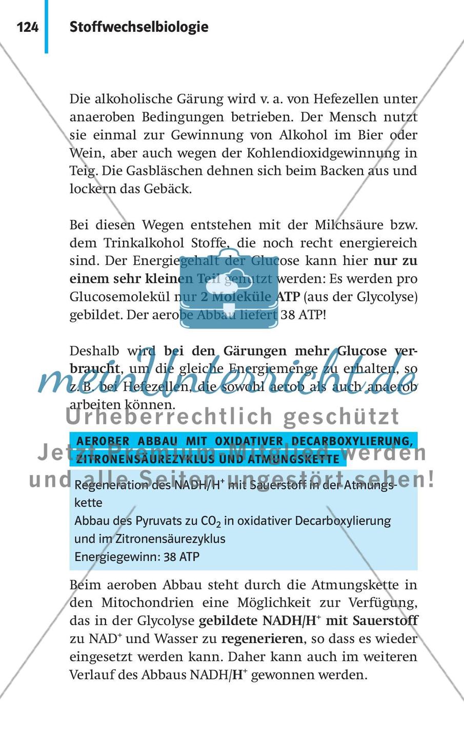 Stoffwechselbiologie Preview 27