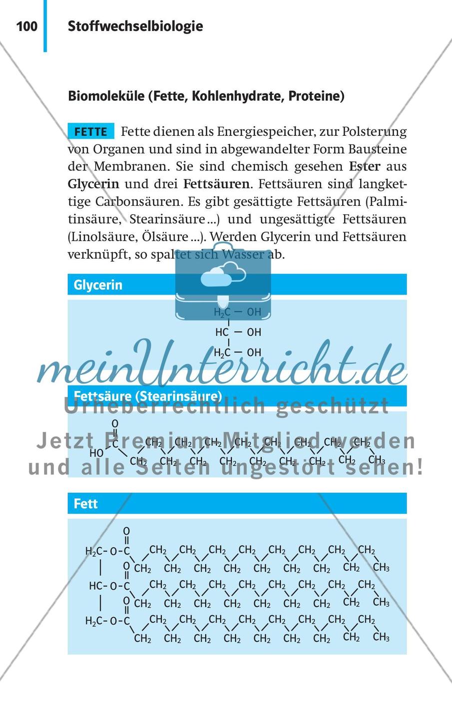 Stoffwechselbiologie Preview 3