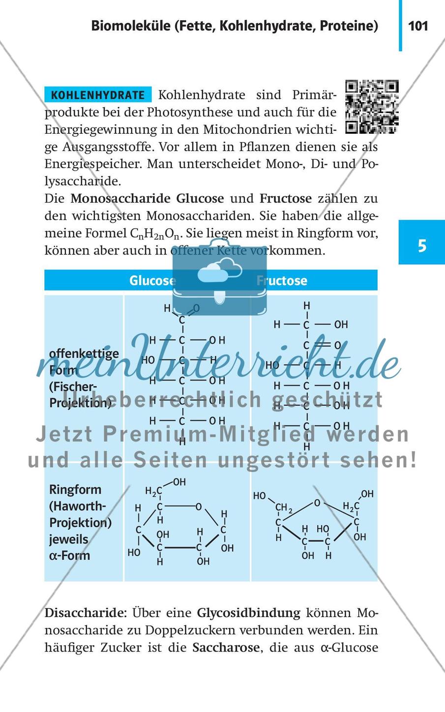 Stoffwechselbiologie Preview 4