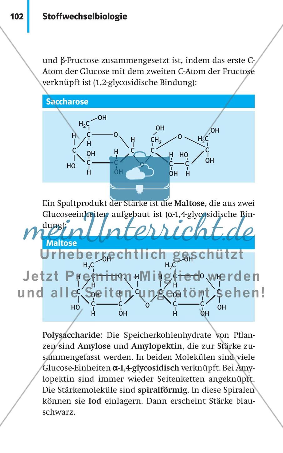 Stoffwechselbiologie Preview 5