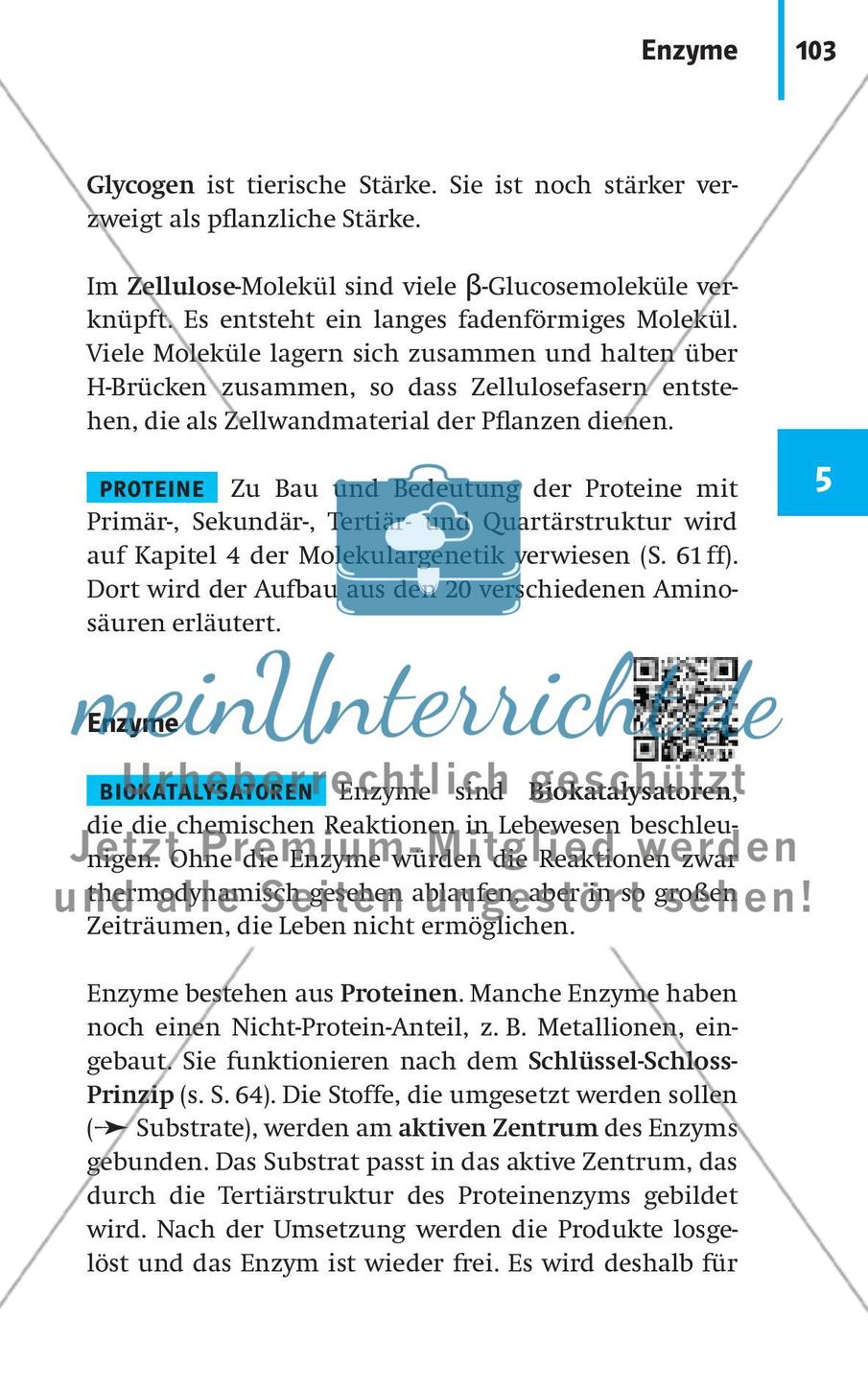 Stoffwechselbiologie Preview 6