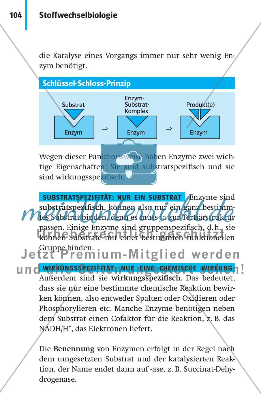 Stoffwechselbiologie Preview 7