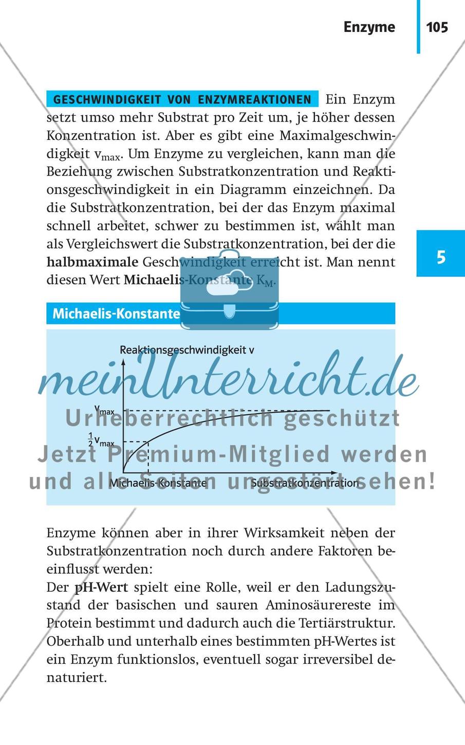Stoffwechselbiologie Preview 8