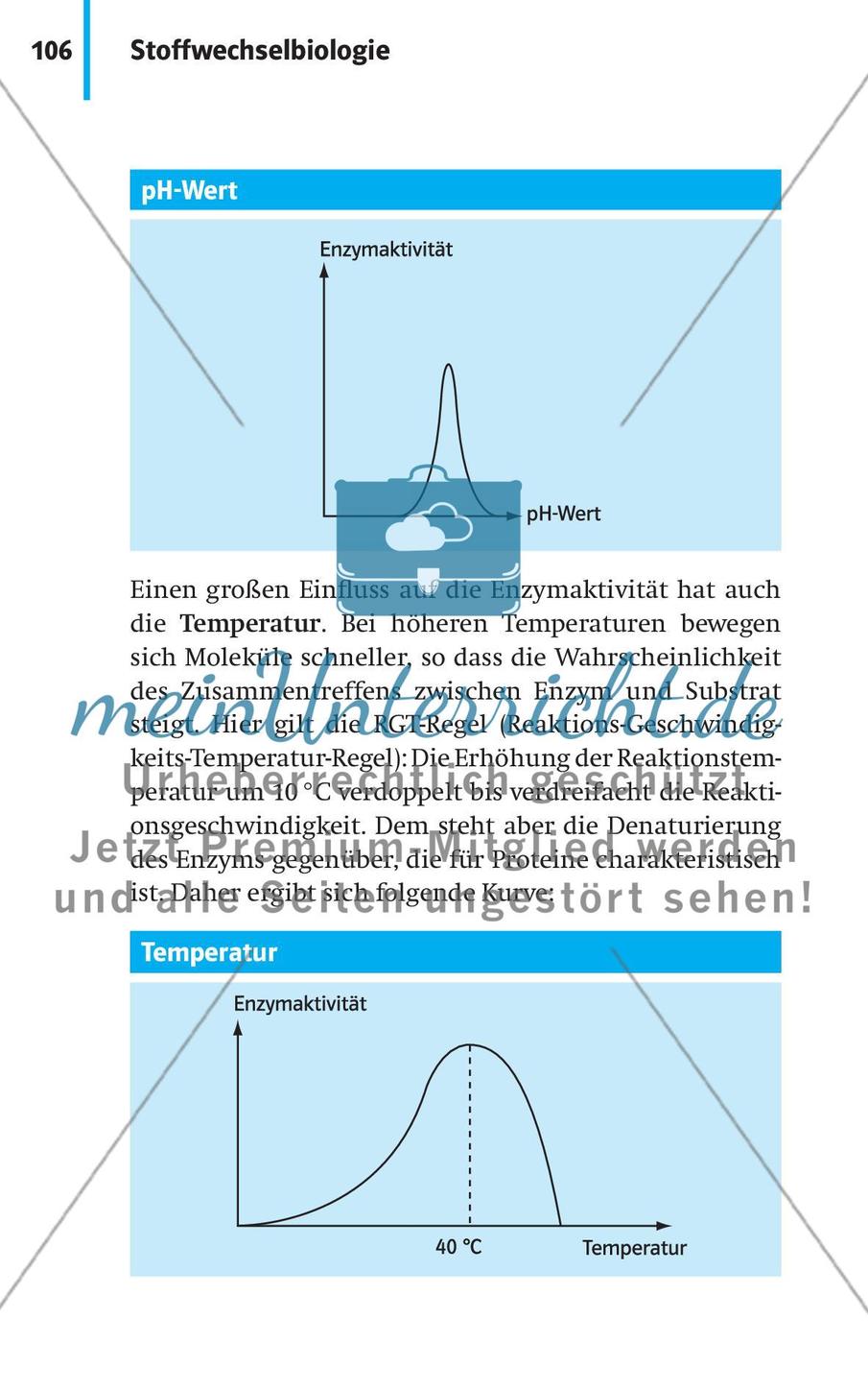 Stoffwechselbiologie Preview 9