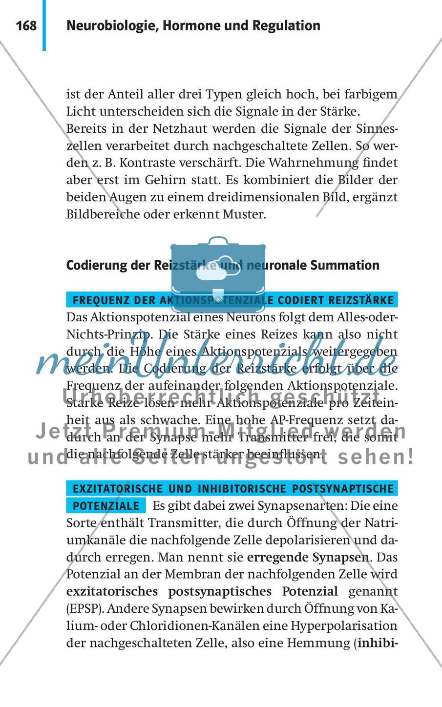 Neurobiologie, Hormone und Regulation Preview 19