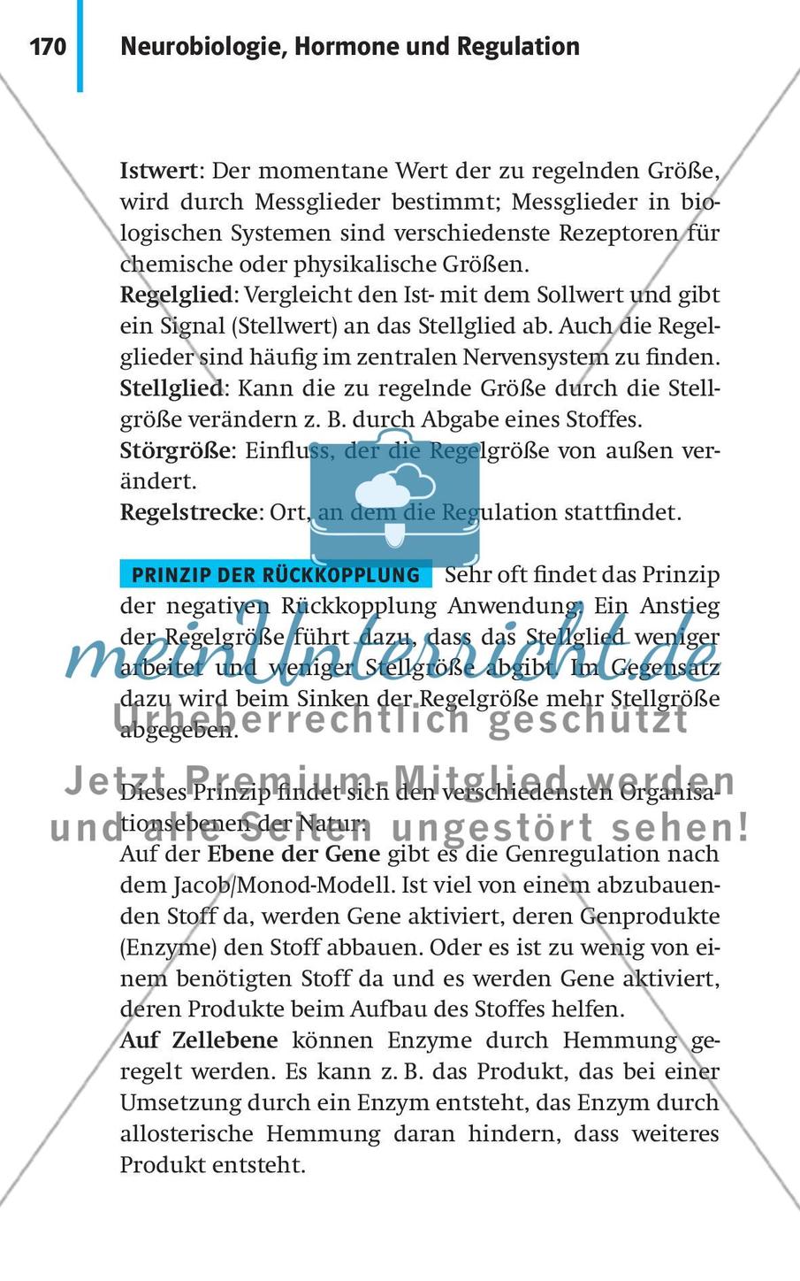 Neurobiologie, Hormone und Regulation Preview 21