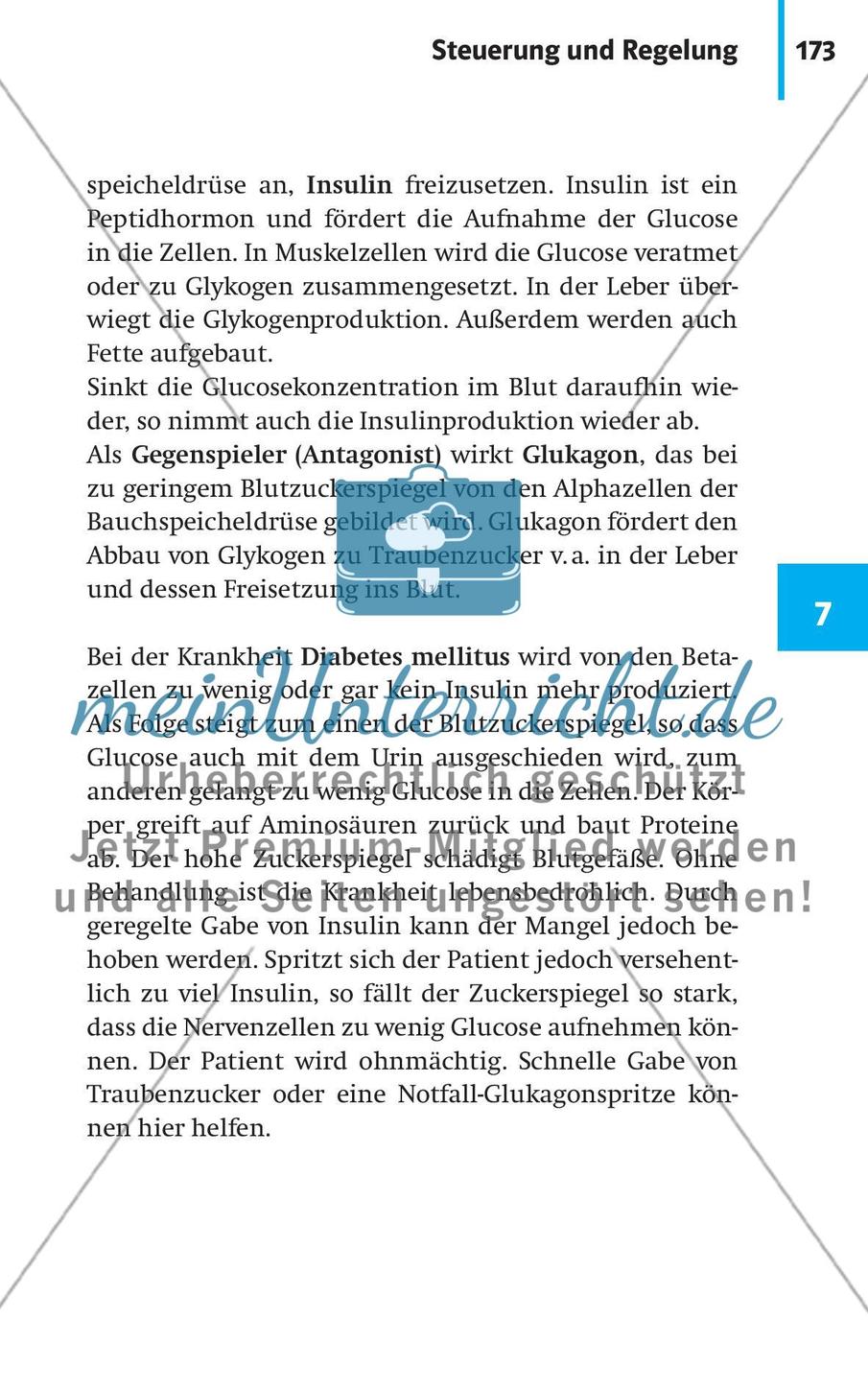 Neurobiologie, Hormone und Regulation Preview 24