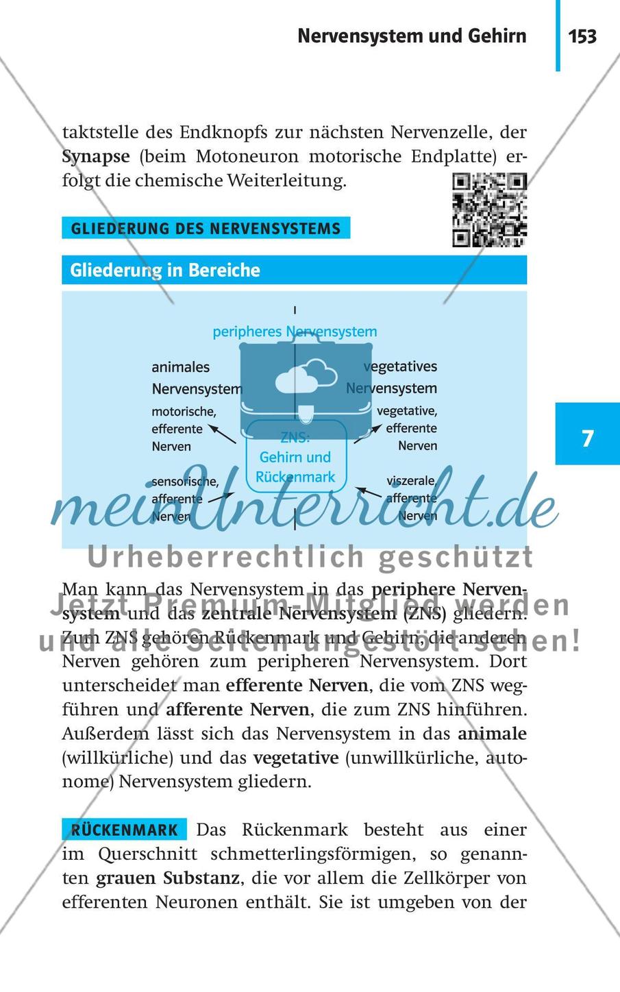 Neurobiologie, Hormone und Regulation Preview 4