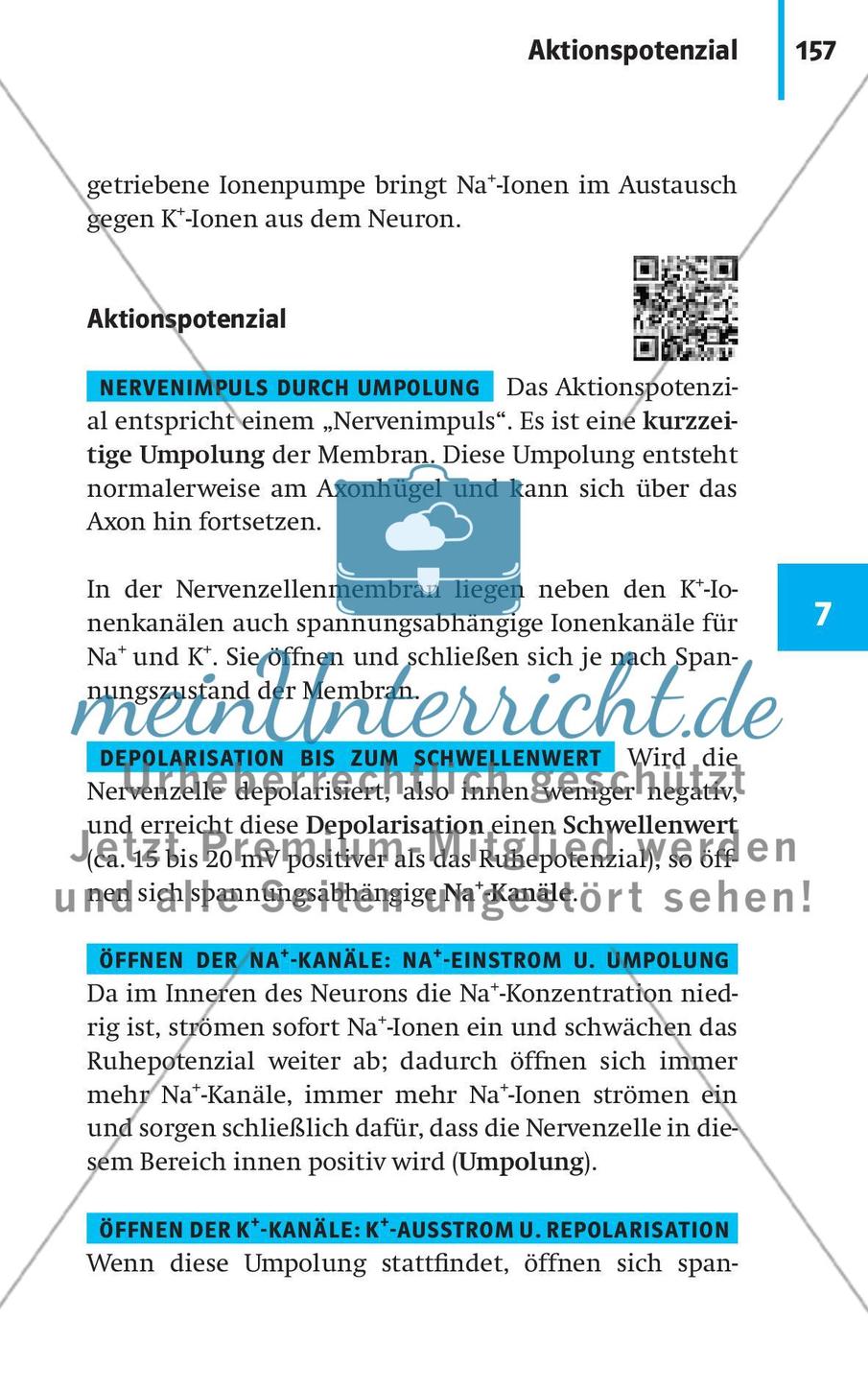 Neurobiologie, Hormone und Regulation Preview 8