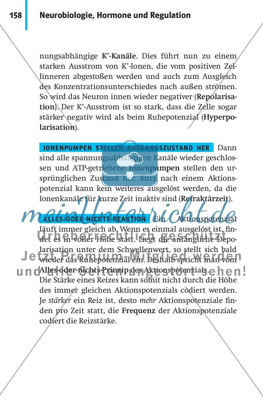 Neurobiologie, Hormone und Regulation Preview 9