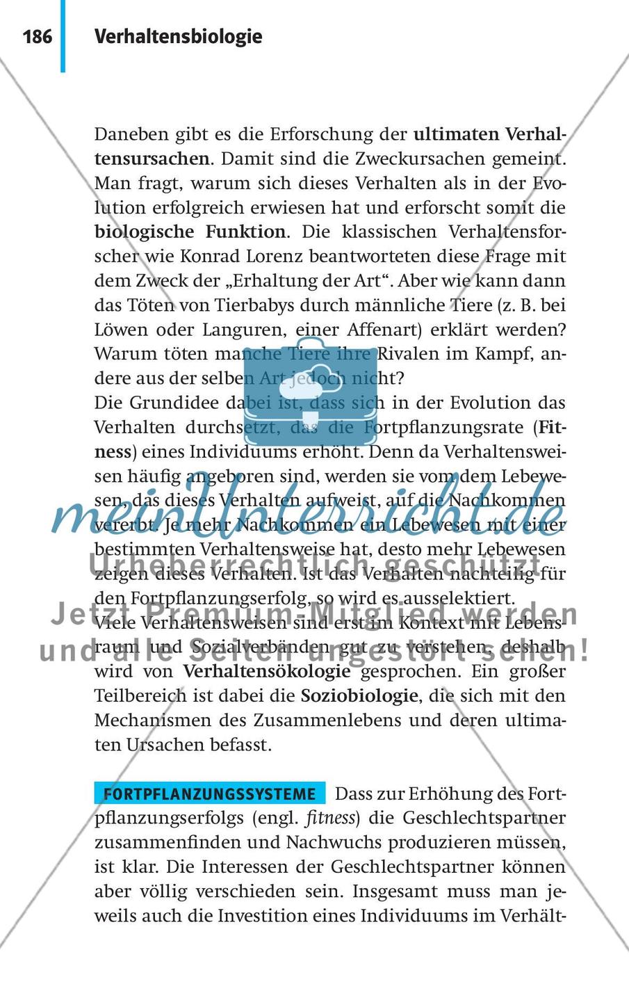 Verhaltensbiologie Preview 13
