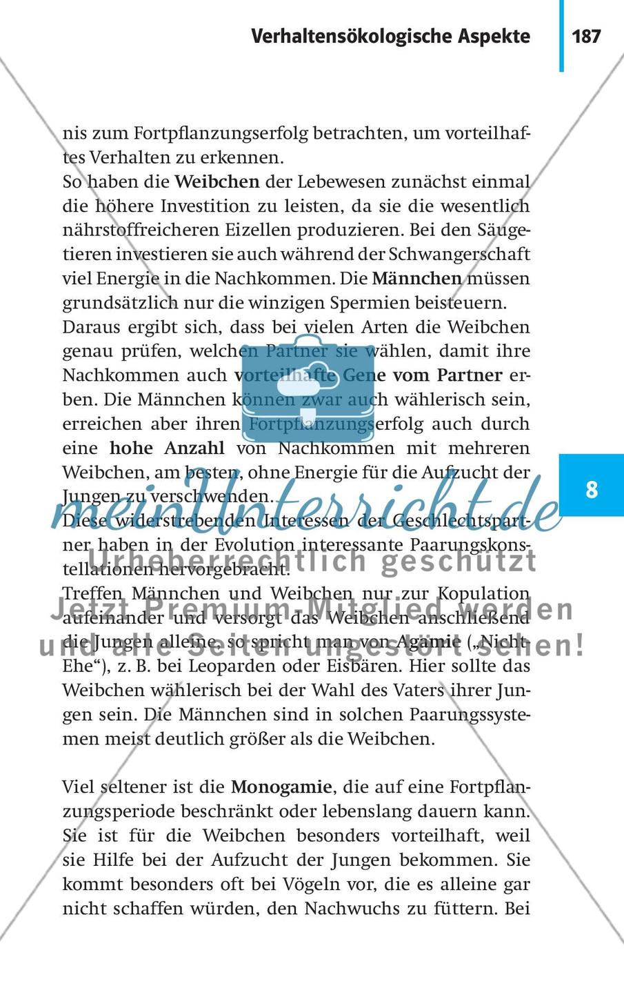 Verhaltensbiologie Preview 14