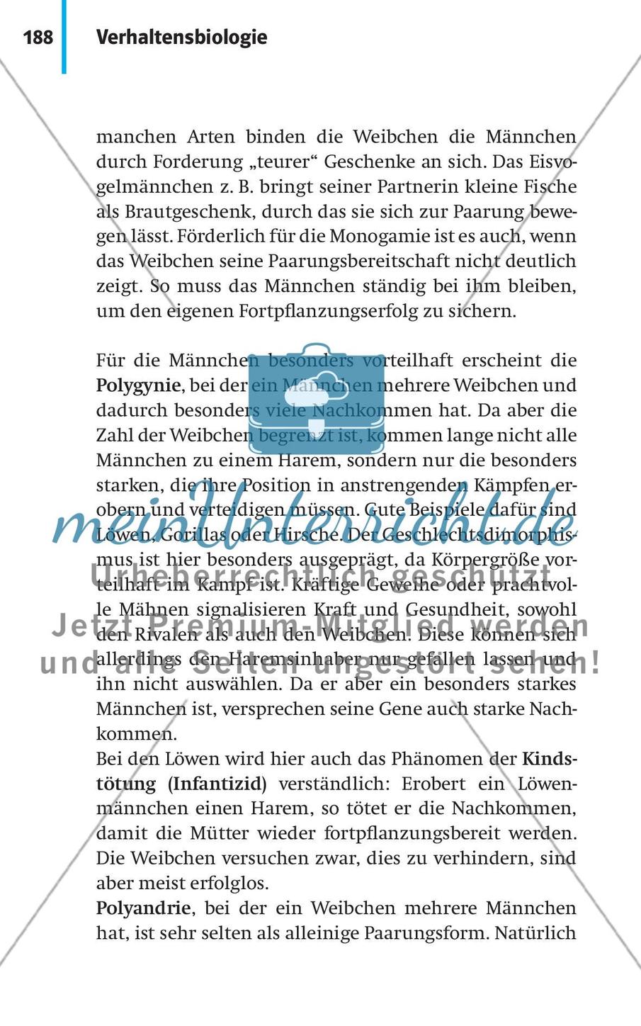 Verhaltensbiologie Preview 15