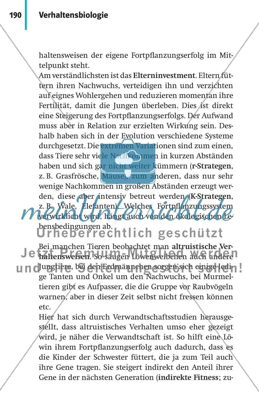 Verhaltensbiologie Preview 17