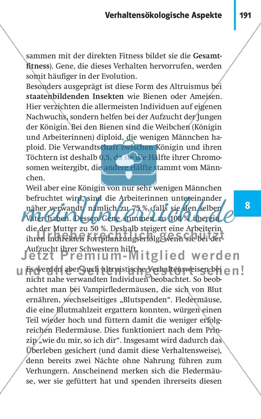 Verhaltensbiologie Preview 18
