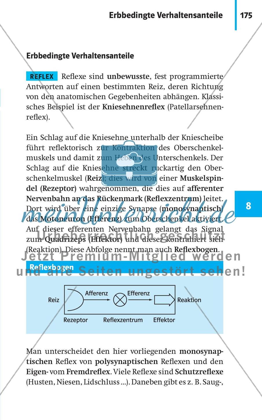 Verhaltensbiologie Preview 2