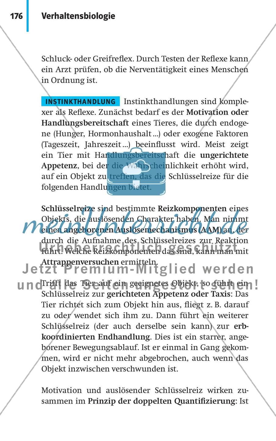 Verhaltensbiologie Preview 3
