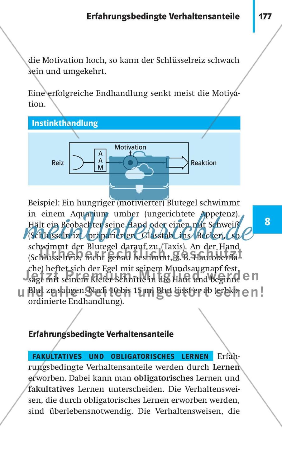Verhaltensbiologie Preview 4