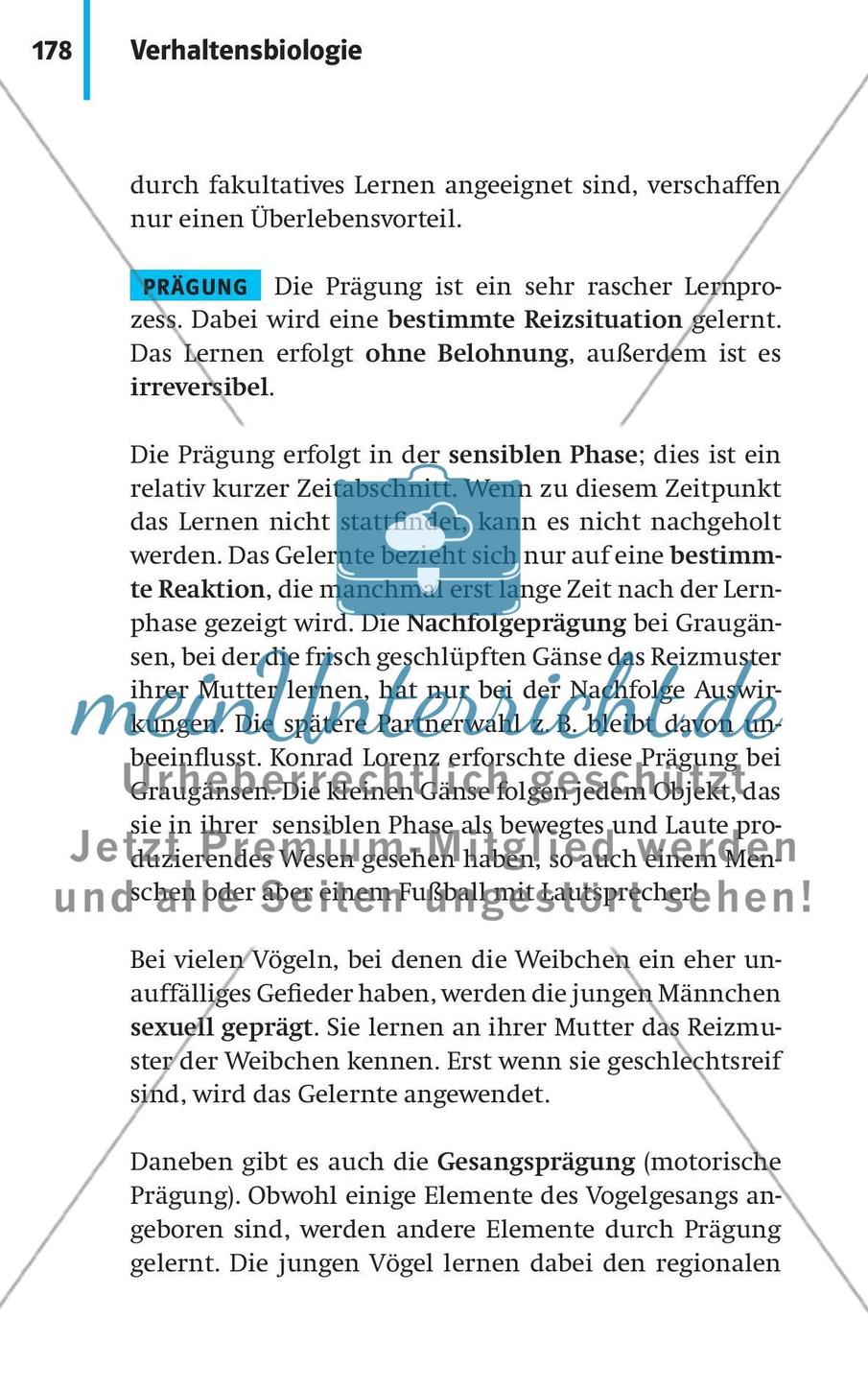 Verhaltensbiologie Preview 5