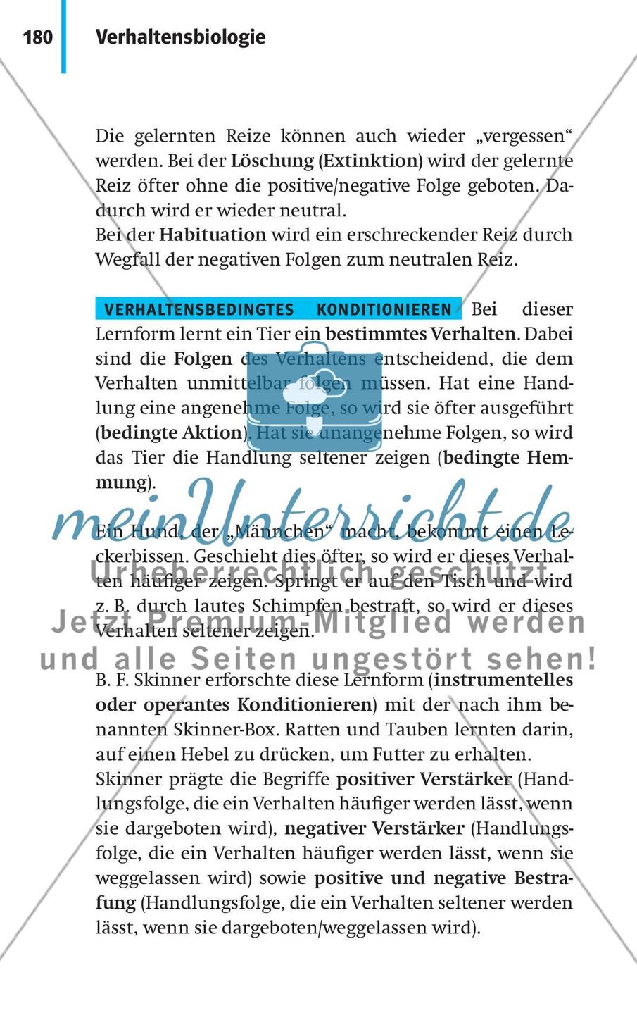 Verhaltensbiologie Preview 7