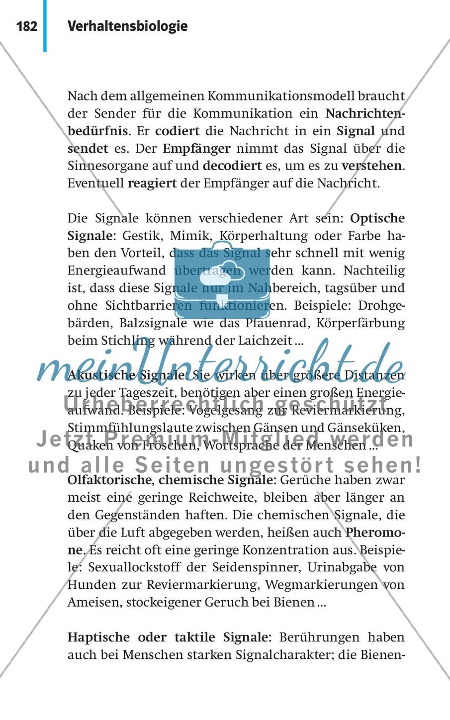 Verhaltensbiologie Preview 9