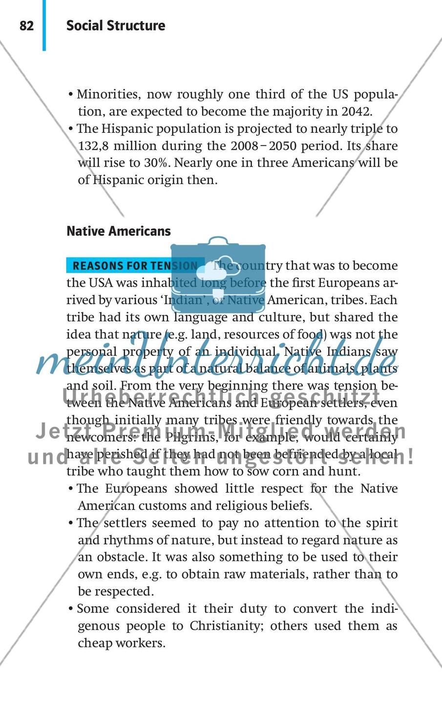 Social Structure: Social Structure in the USA Preview 13