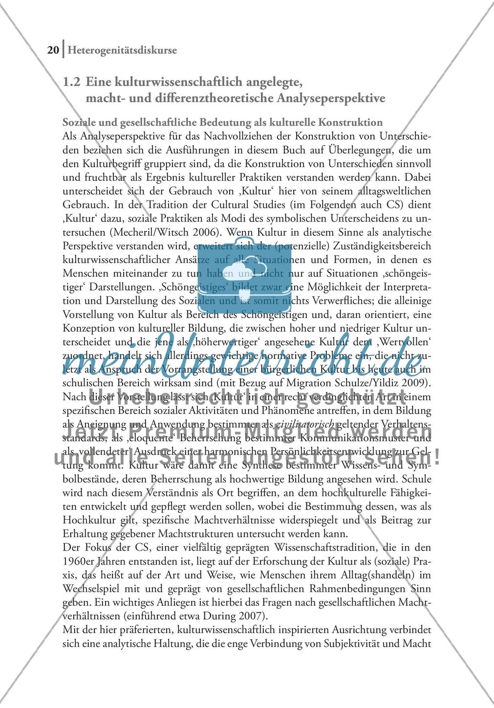 Eine kulturwissenschaftlich angelegte, macht- und differenztheoretische Analyseperspektive Preview 1
