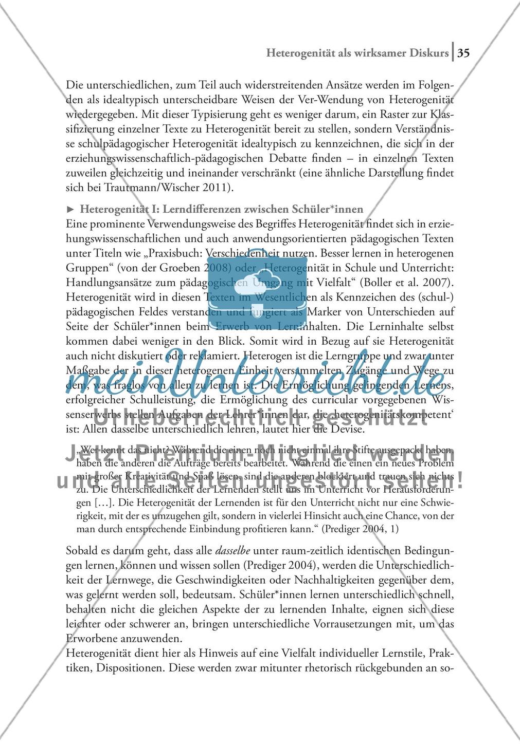 Heterogenität als wirksamer Diskurs Preview 10