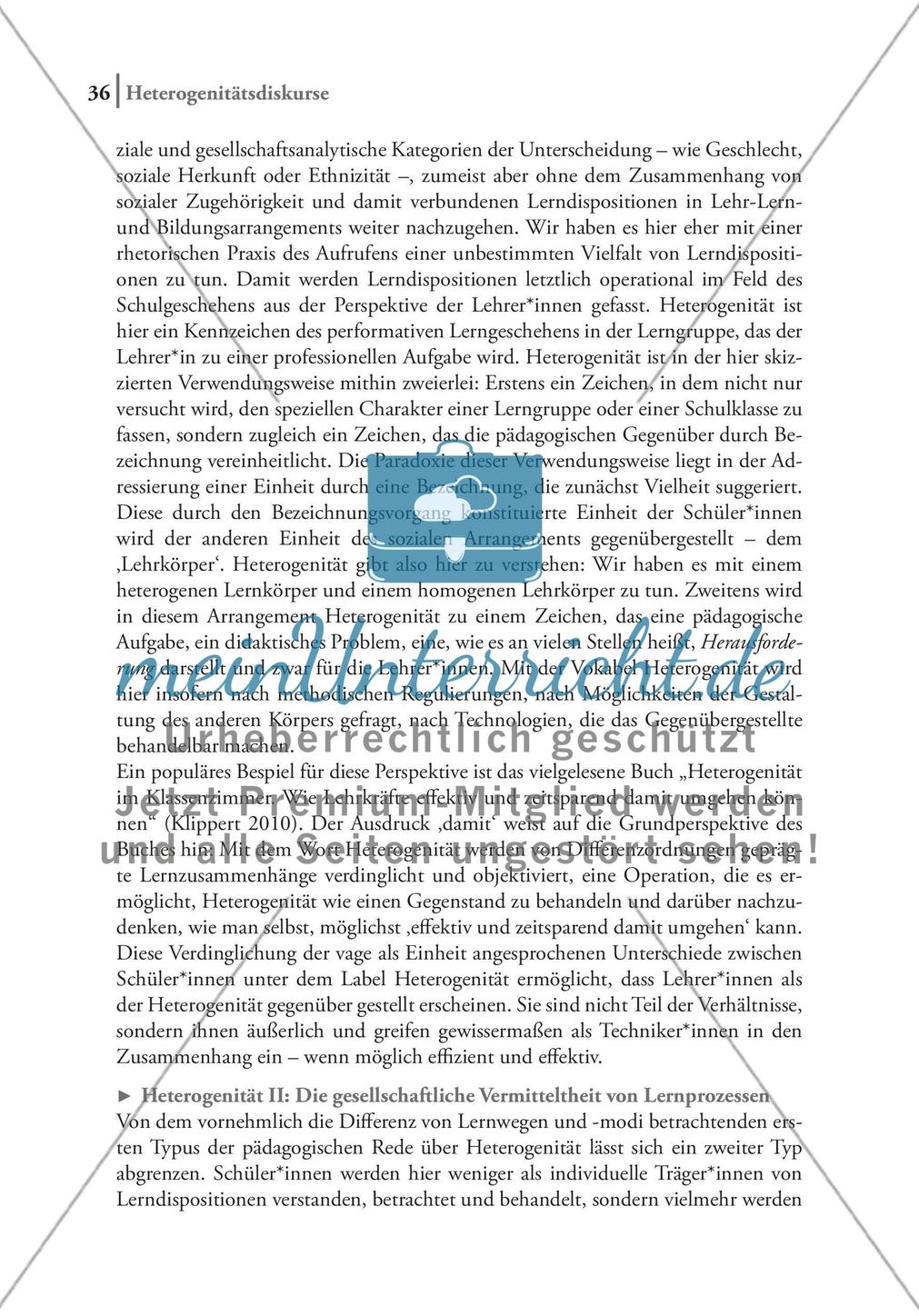 Heterogenität als wirksamer Diskurs Preview 11