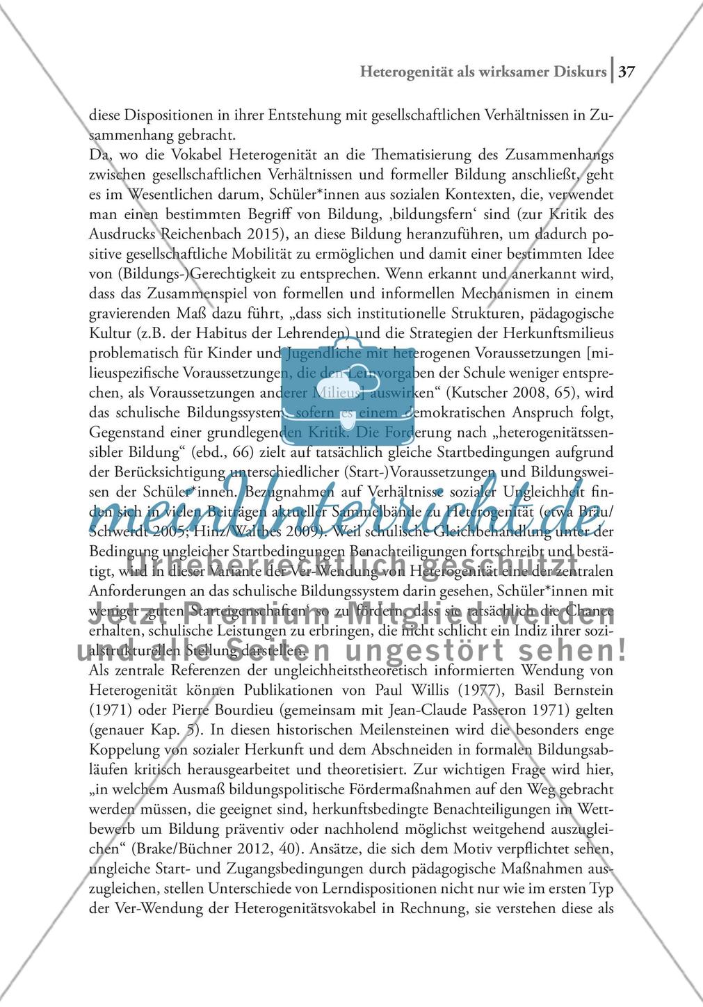 Heterogenität als wirksamer Diskurs Preview 12
