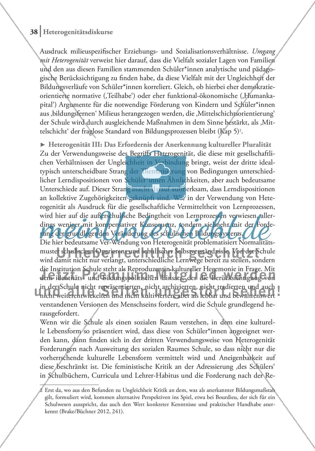 Heterogenität als wirksamer Diskurs Preview 13