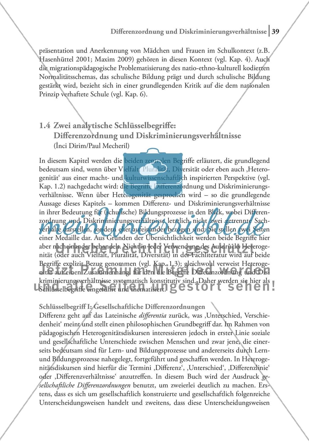 Heterogenität als wirksamer Diskurs Preview 14