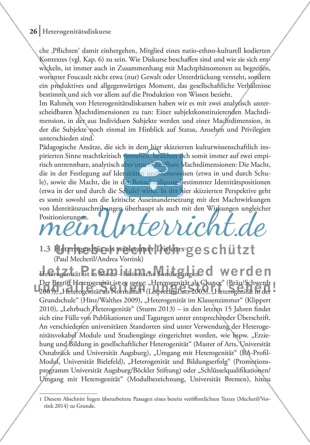 Heterogenität als wirksamer Diskurs Preview 1